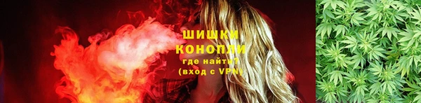 крисы Зеленодольск