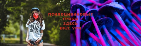МДПВ Зеленокумск