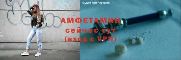 прущая мука Инсар